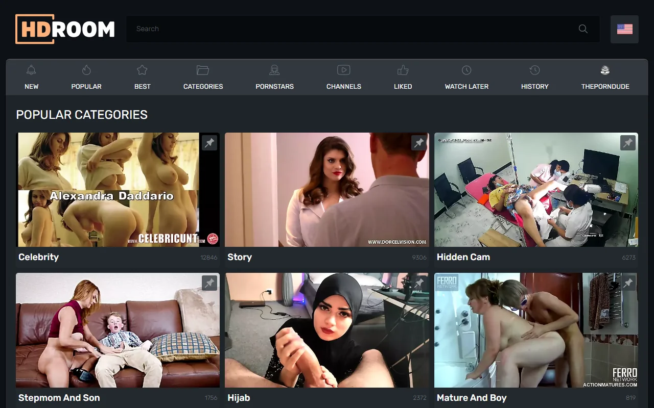 Screenshot of Hdroom Website Review